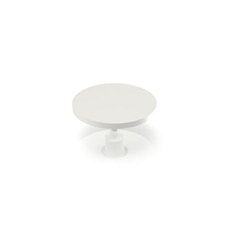 Rafi Switch Bezels / Switch Caps Plunger 4.6 Mm L 14.5Mm Dia 5.46.168.043/0209